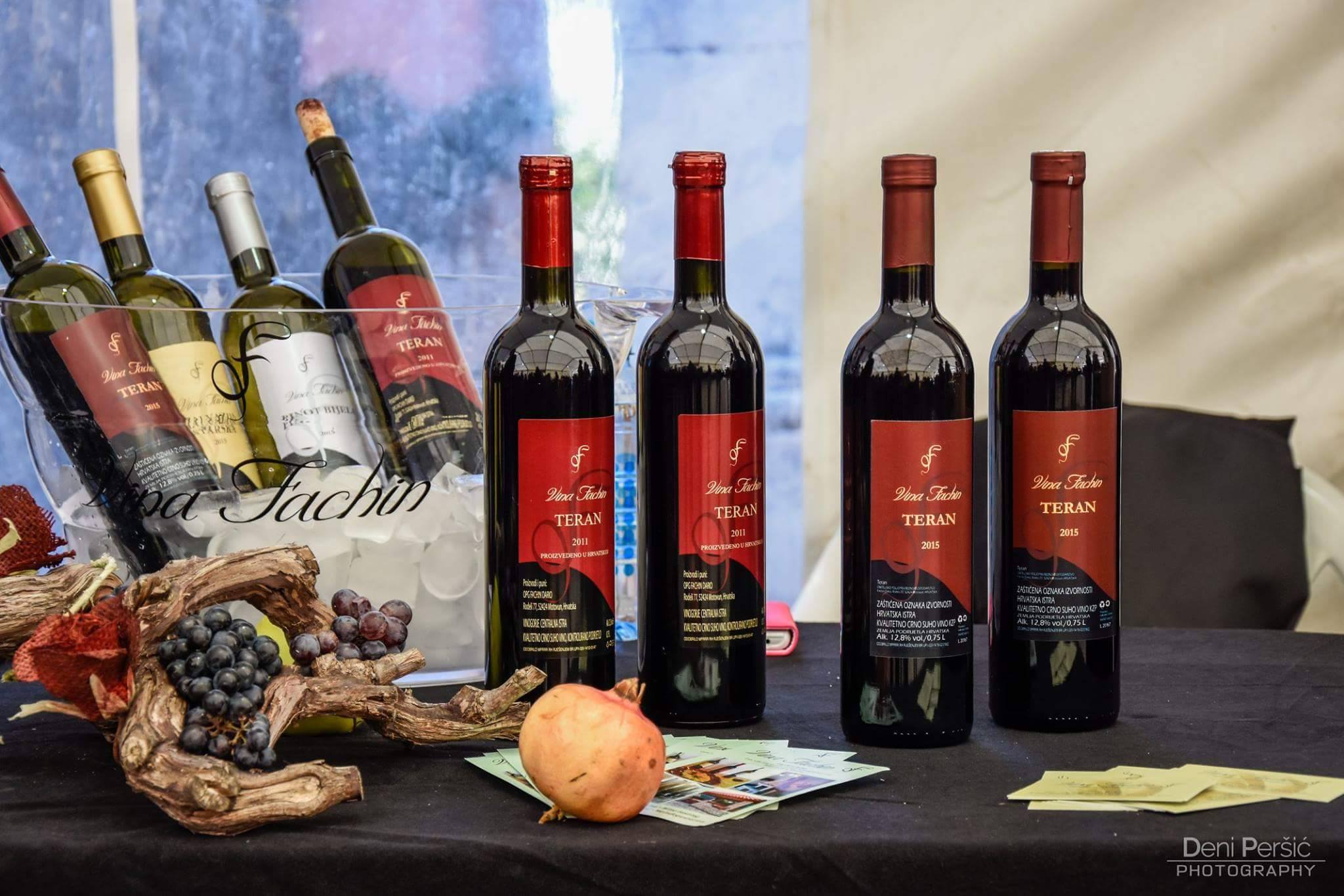 Fachin Wines