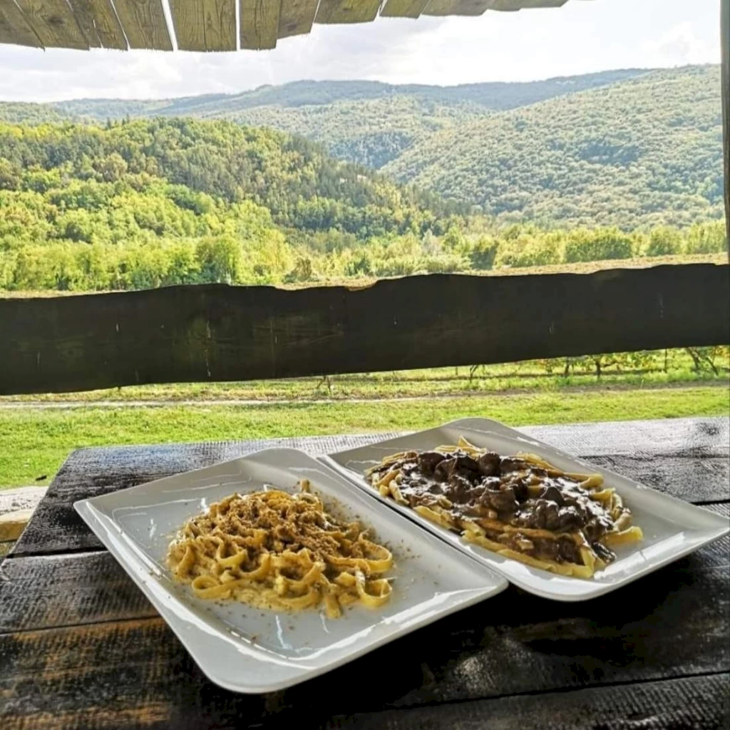 Rural tourism „Toni”