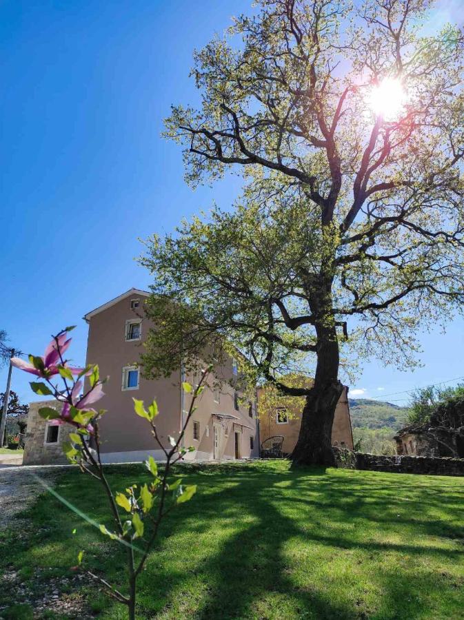 Guest house "Casa Quieto"