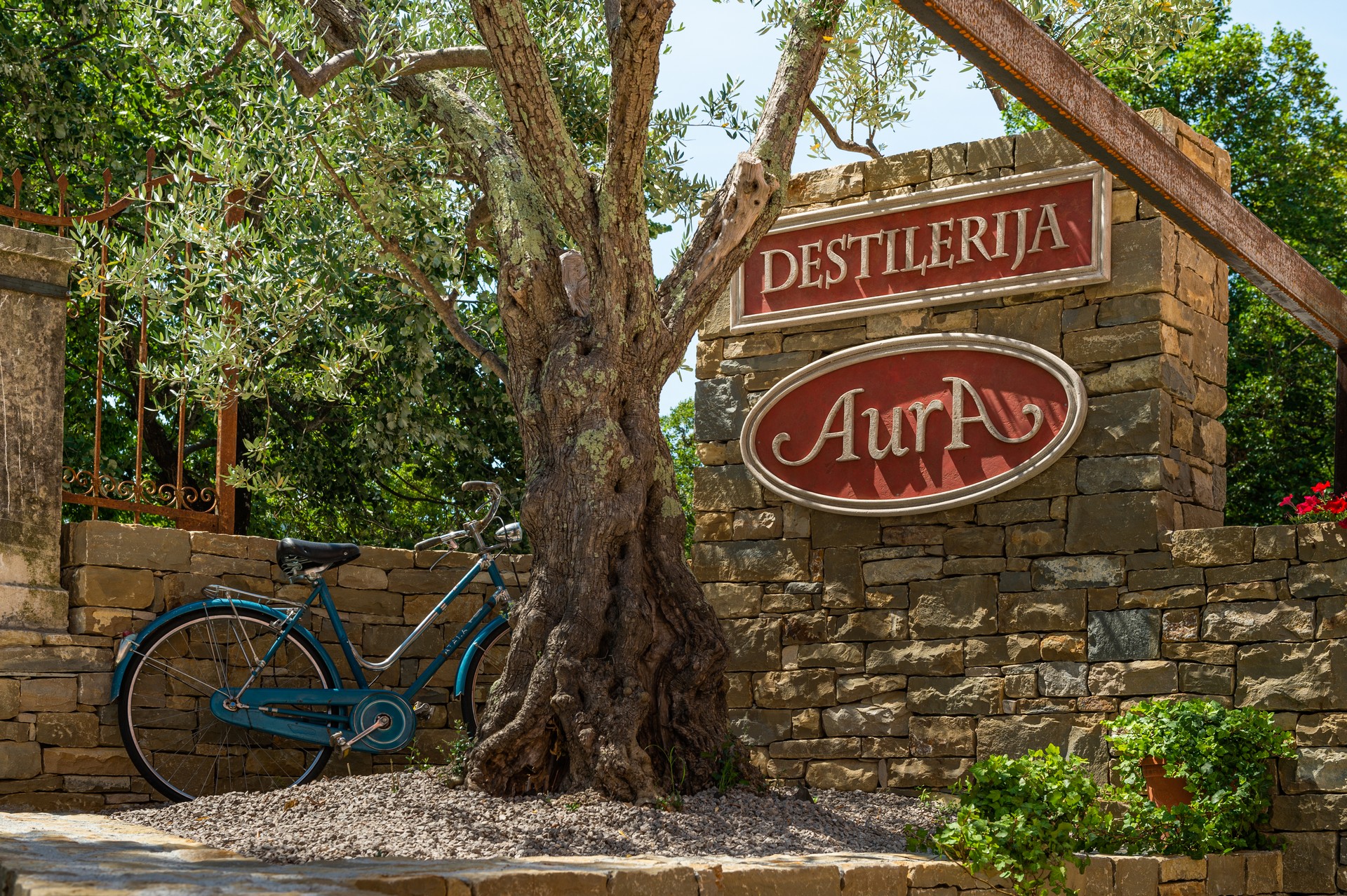 Distillery Aura